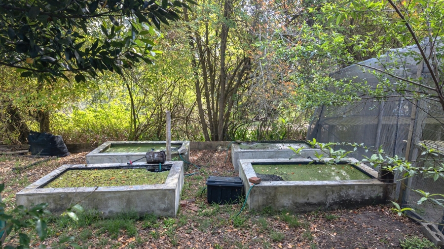 Commercial Property for Sale in Sedgefield Rural Western Cape